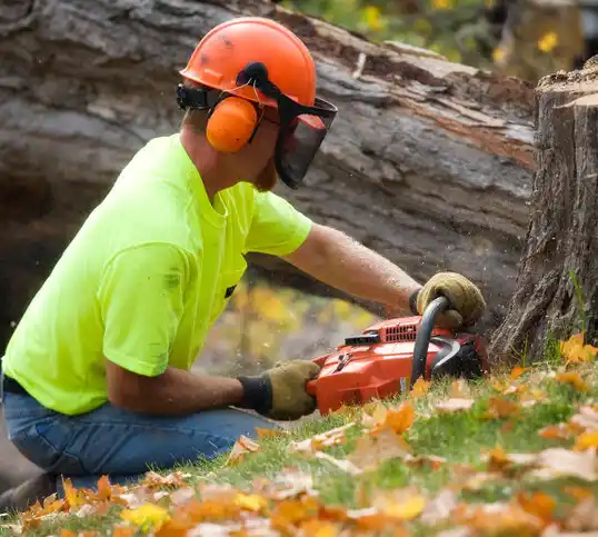 tree services Lawton